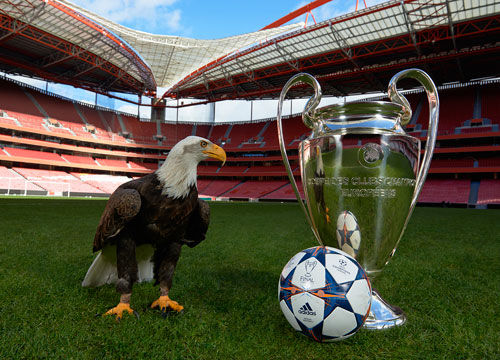 体育冰壶混双循环赛：中国队6-8惜败加拿大队